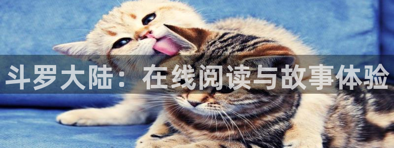 羞羞的铁拳免费观看51漫画画完整版