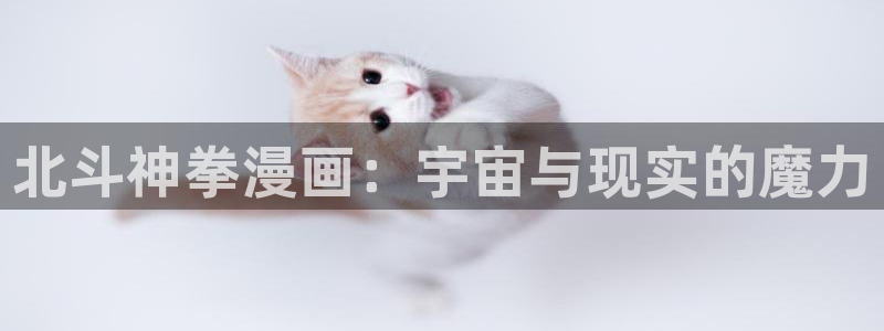 51漫画掠夺婚在线看