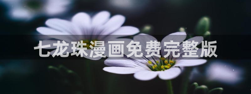 无遮挡51漫画画在线观看