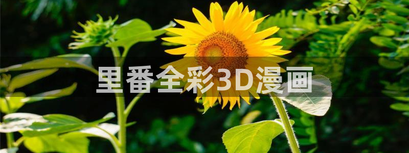 免费51漫画漫画网站大全