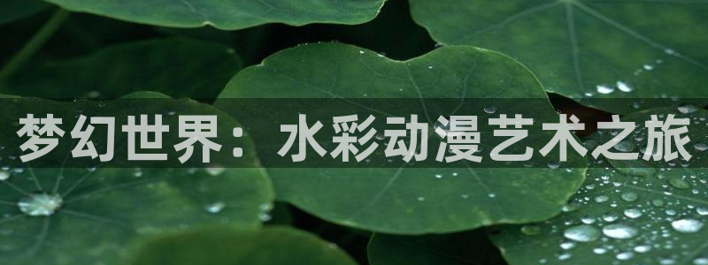 《左手51漫画画》：梦幻世界：水彩动漫艺术之旅