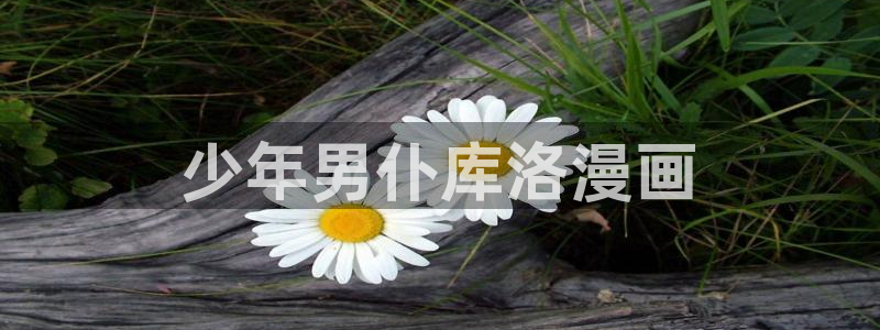 51漫画妖精动漫：少年男仆库洛漫画