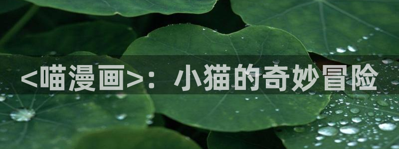 在线51漫画免费观看下拉式