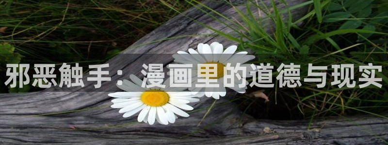 51漫画免费看的网站